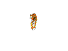 tiger111.gif